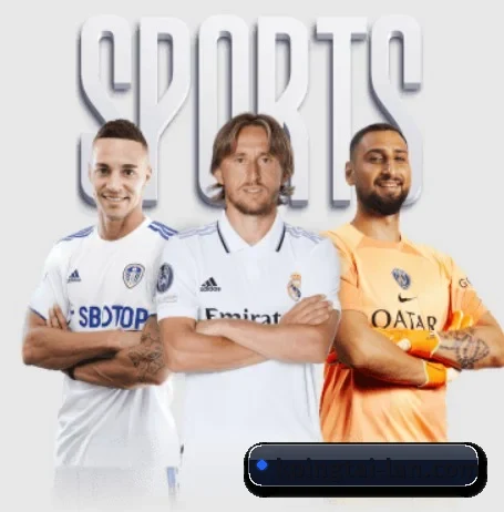 K体育平台 APP